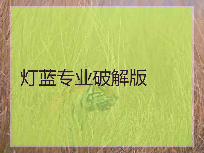 灯蓝专业破解版