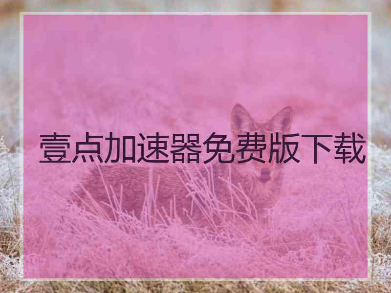 壹点加速器免费版下载