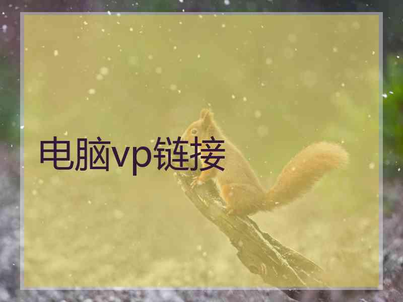 电脑vp链接