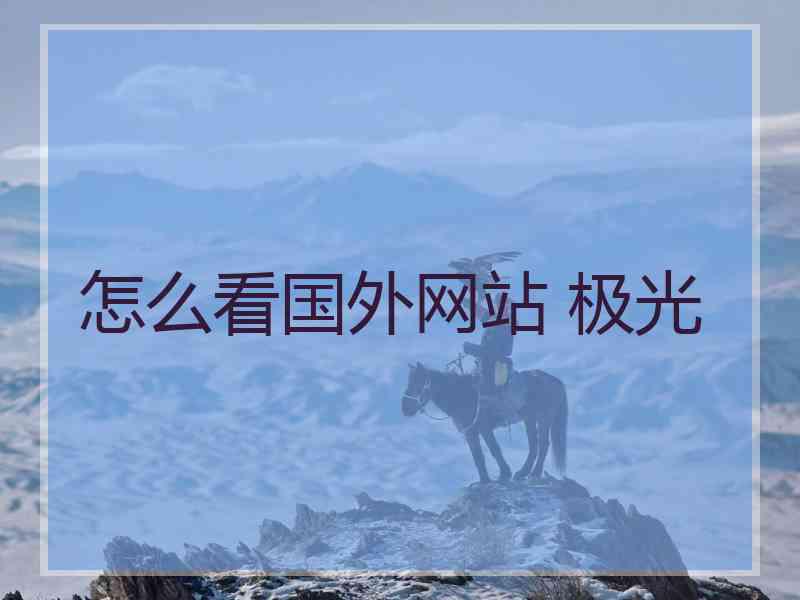 怎么看国外网站 极光