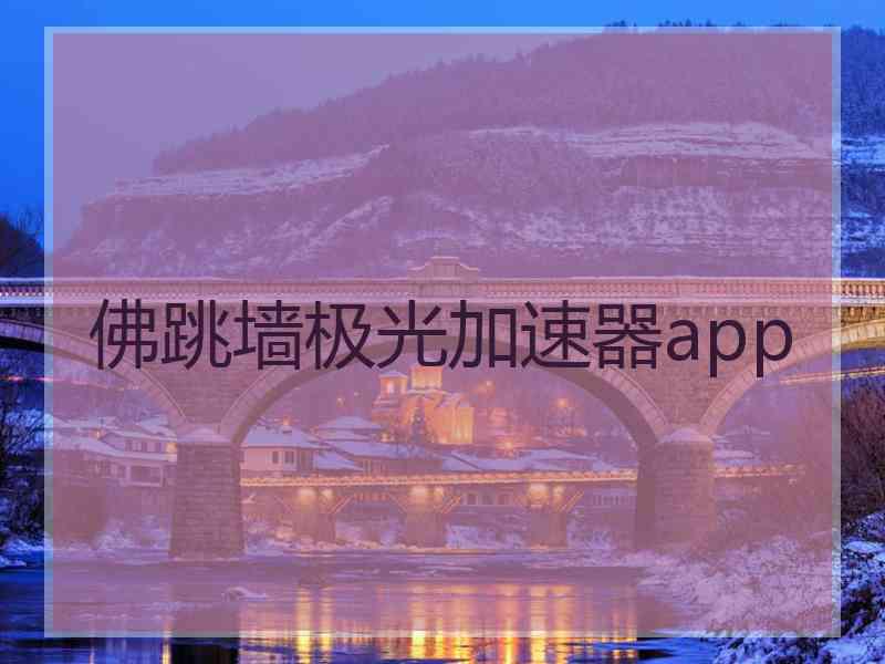 佛跳墙极光加速器app