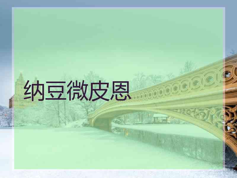纳豆微皮恩