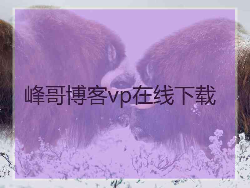 峰哥博客vp在线下载