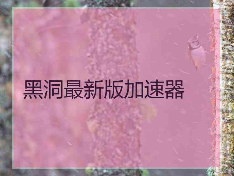 黑洞最新版加速器