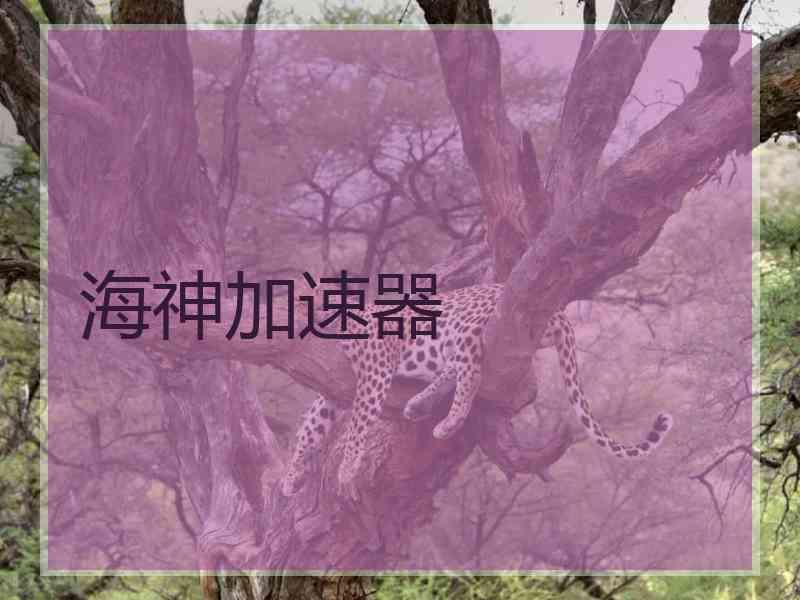 海神加速器