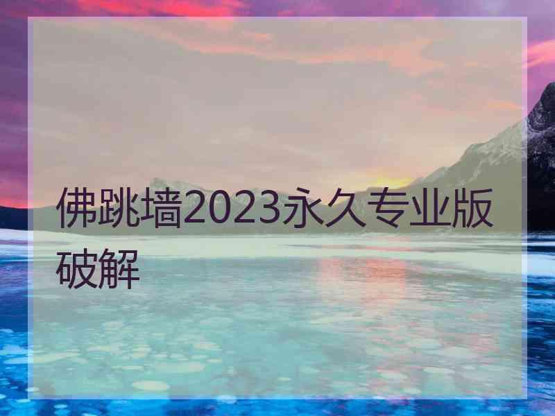 佛跳墙2023永久专业版破解