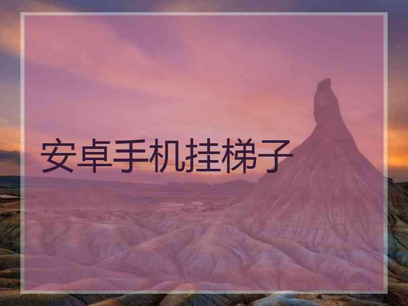 安卓手机挂梯子