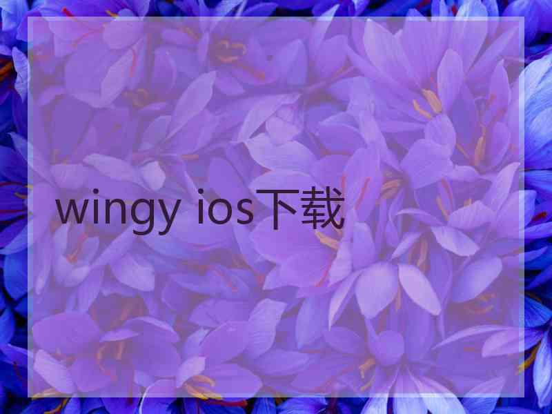 wingy ios下载
