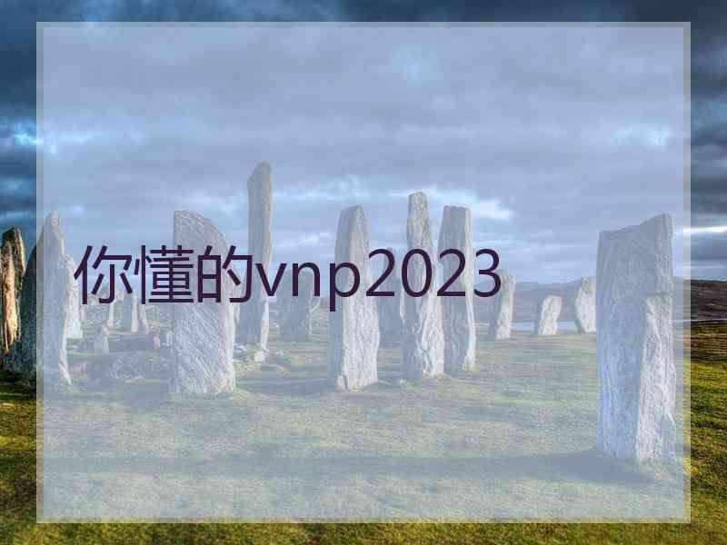你懂的vnp2023