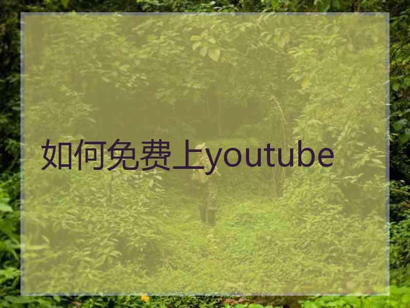 如何免费上youtube