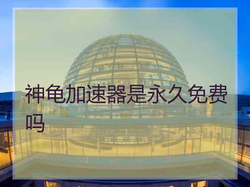 神龟加速器是永久免费吗