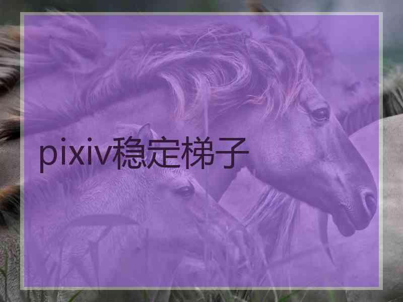 pixiv稳定梯子