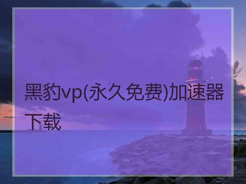 黑豹vp(永久免费)加速器下载