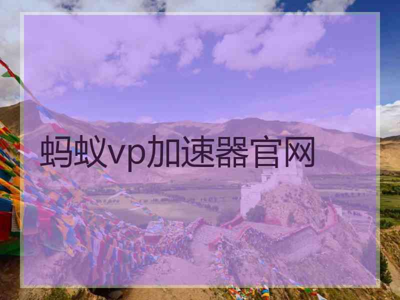 蚂蚁vp加速器官网