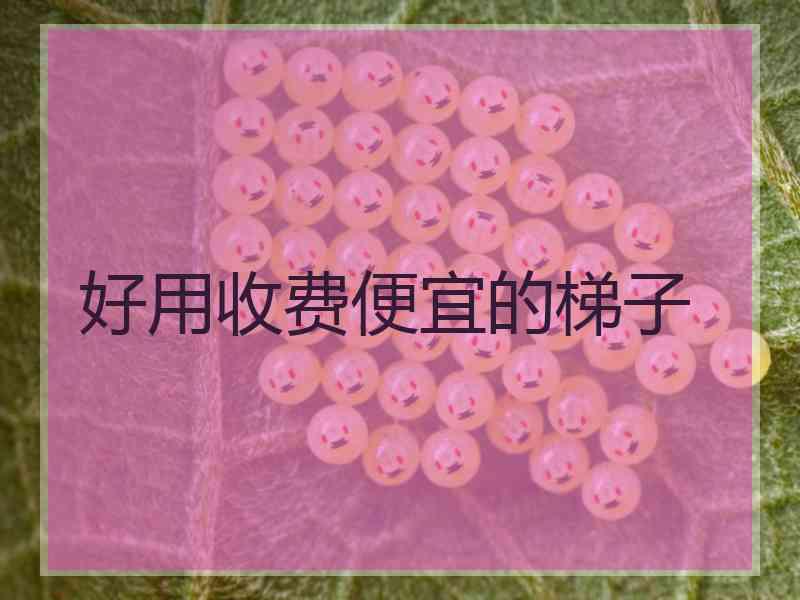 好用收费便宜的梯子