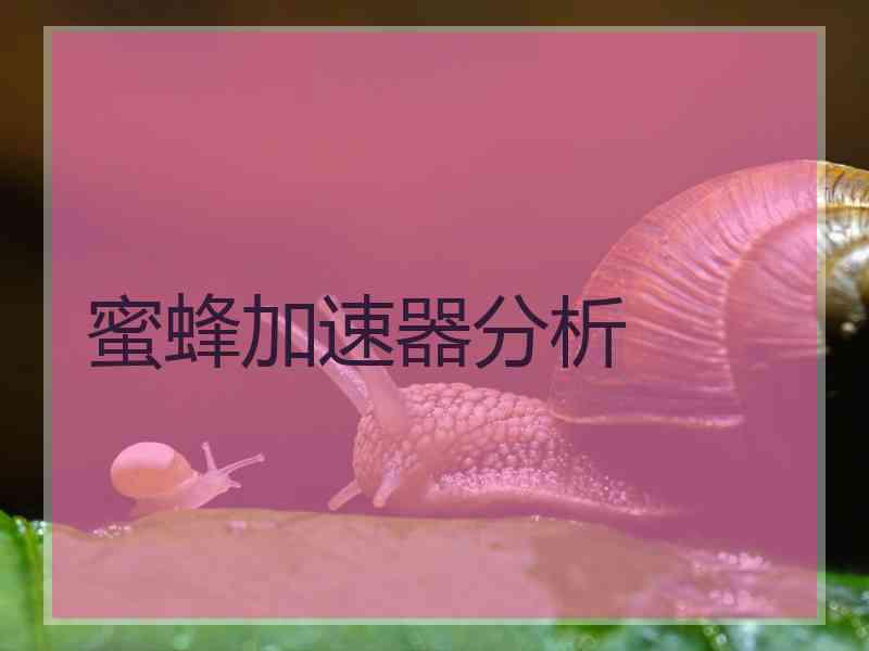 蜜蜂加速器分析