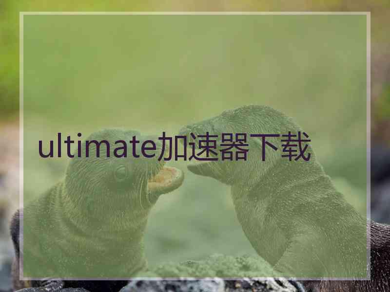 ultimate加速器下载