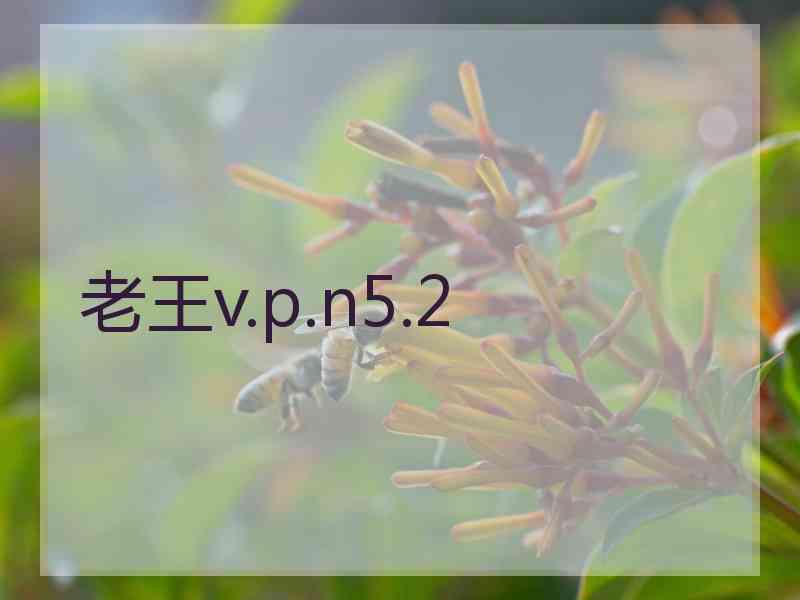 老王v.p.n5.2
