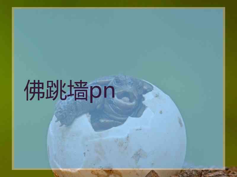佛跳墙pn