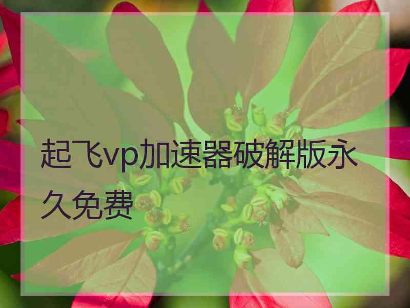 起飞vp加速器破解版永久免费