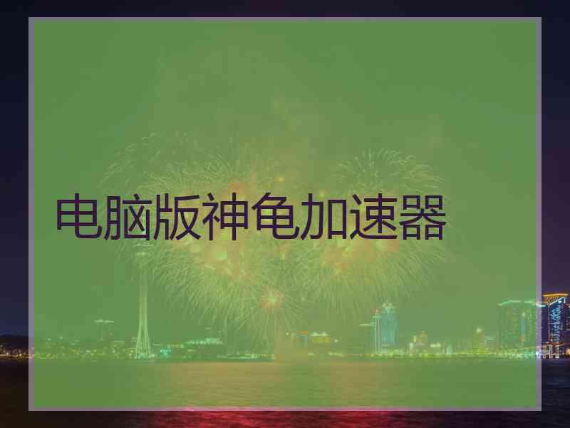 电脑版神龟加速器