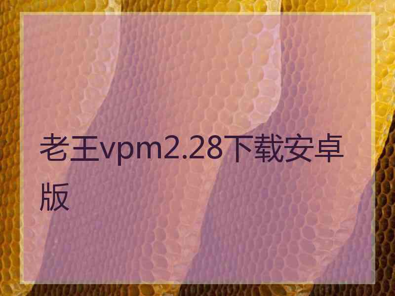 老王vpm2.28下载安卓版