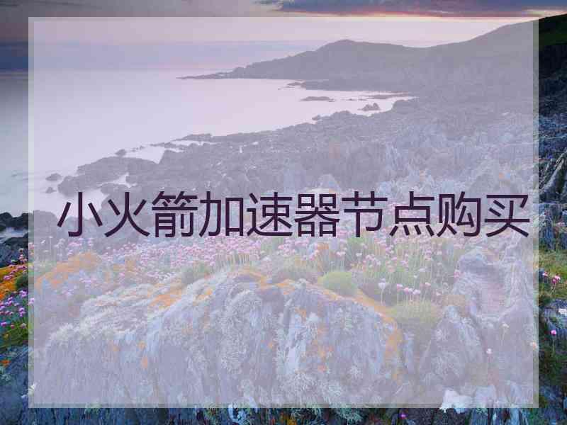 小火箭加速器节点购买