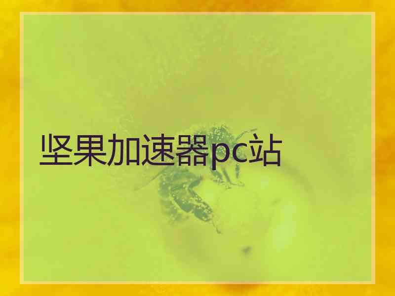 坚果加速器pc站