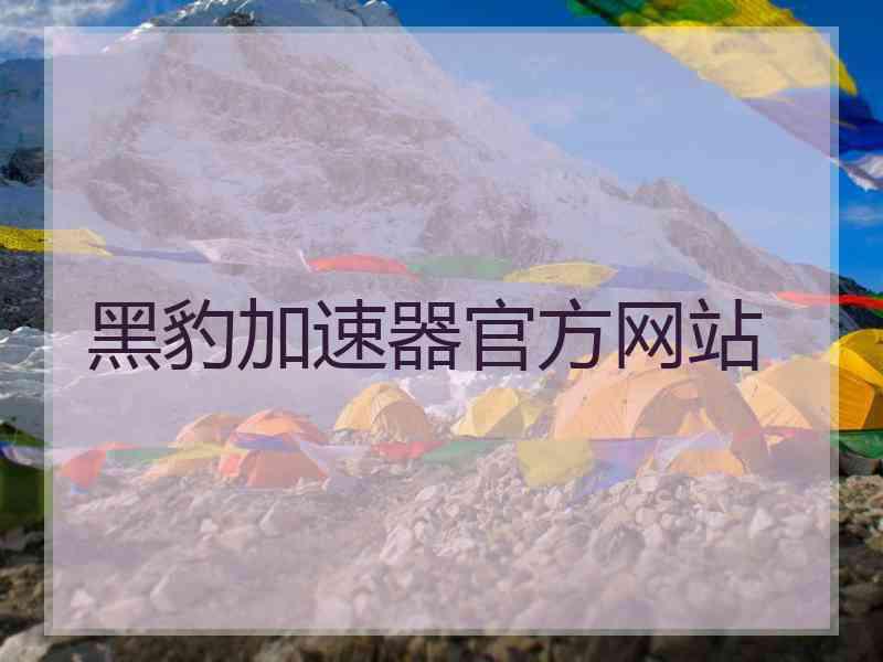 黑豹加速器官方网站