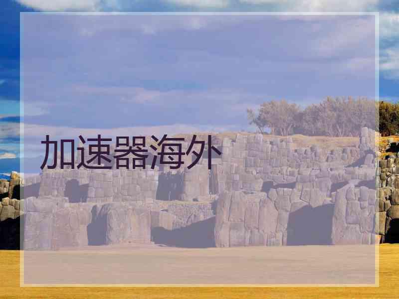 加速器海外