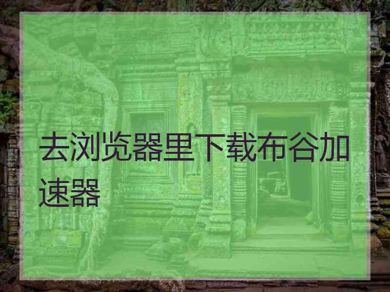 去浏览器里下载布谷加速器