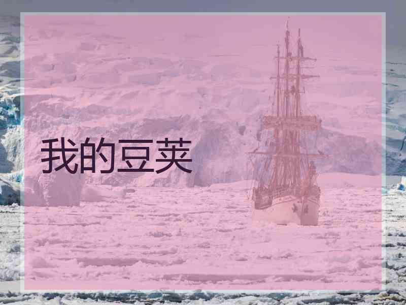 我的豆荚