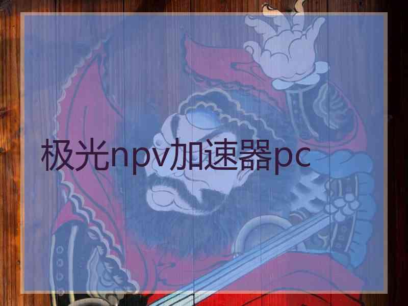 极光npv加速器pc