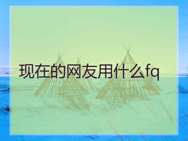 现在的网友用什么fq