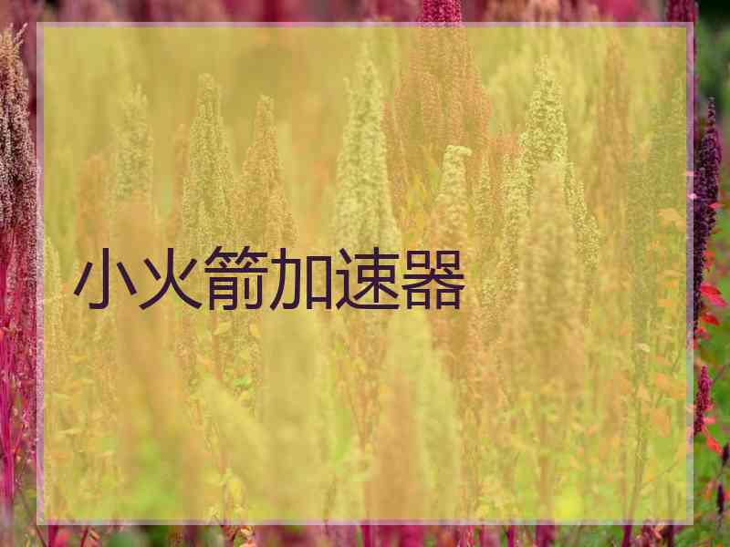 小火箭加速器