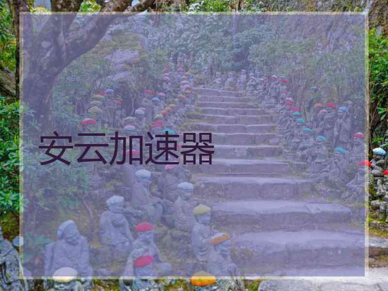 安云加速器