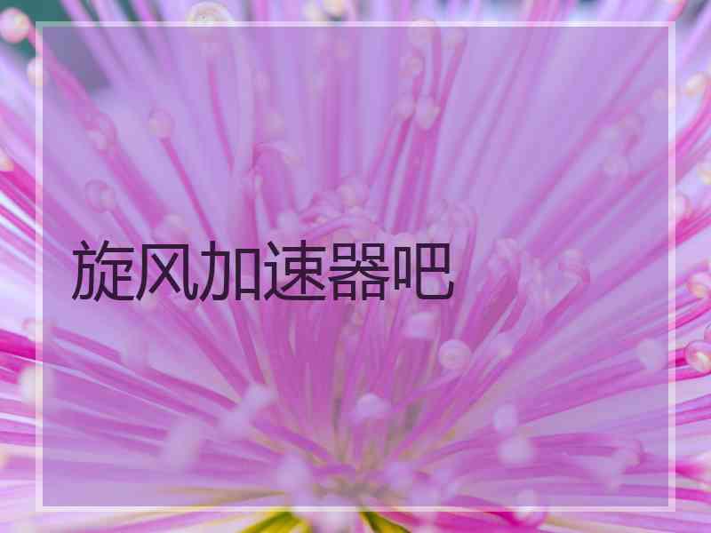 旋风加速器吧