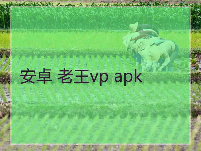 安卓 老王vp apk