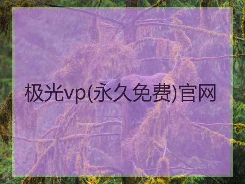 极光vp(永久免费)官网