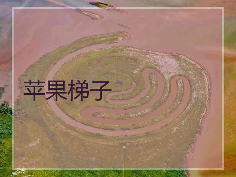 苹果梯子