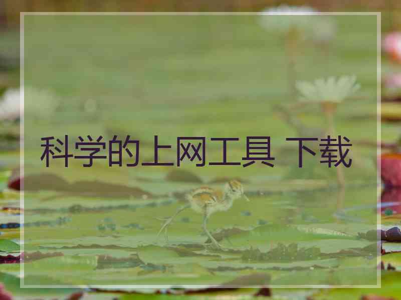 科学的上网工具 下载
