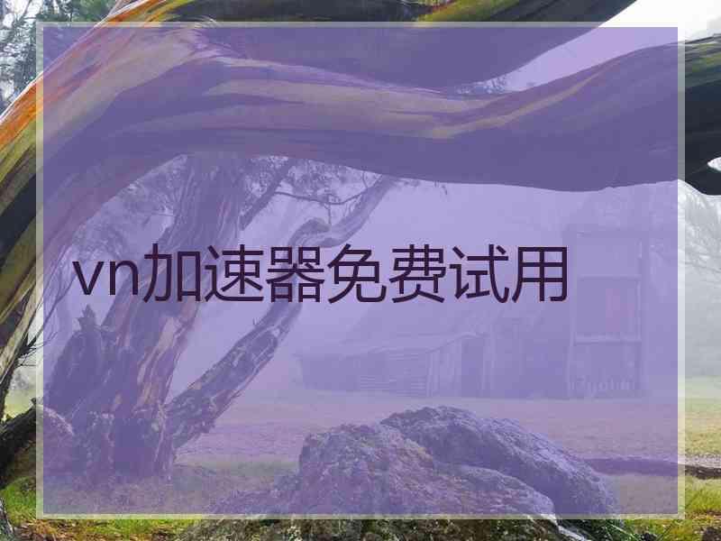 vn加速器免费试用
