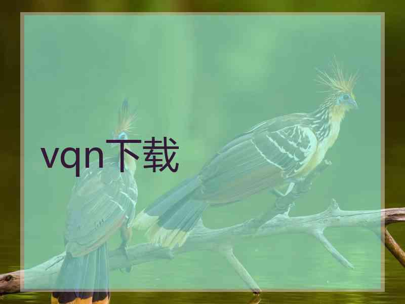 vqn下载