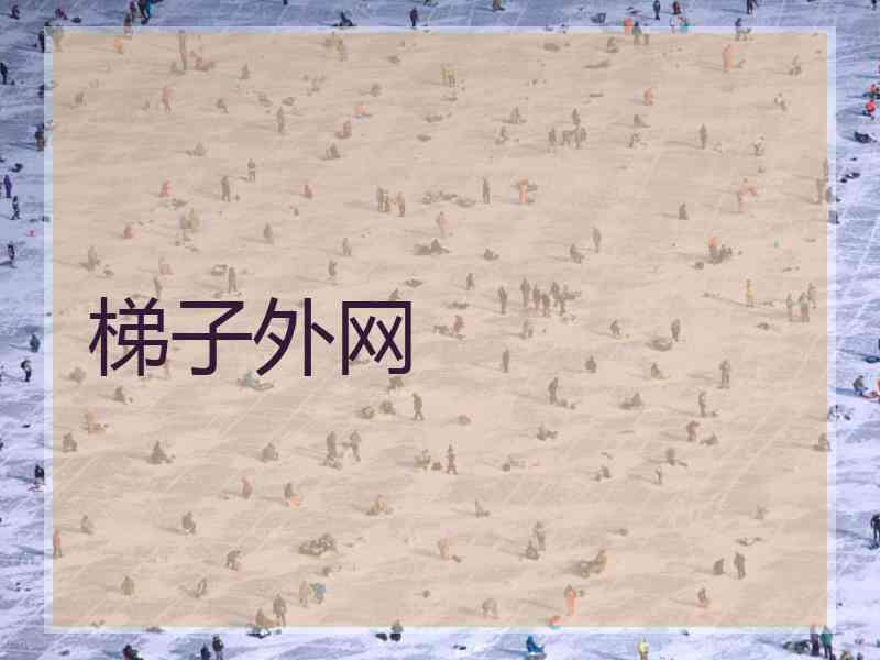 梯子外网