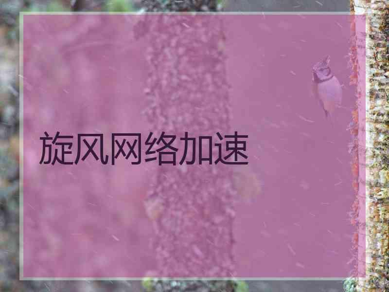 旋风网络加速