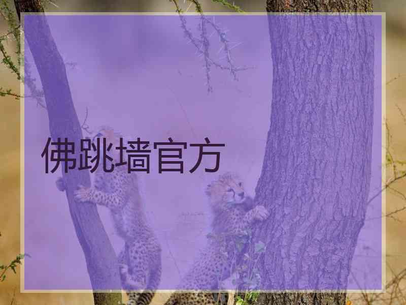 佛跳墙官方
