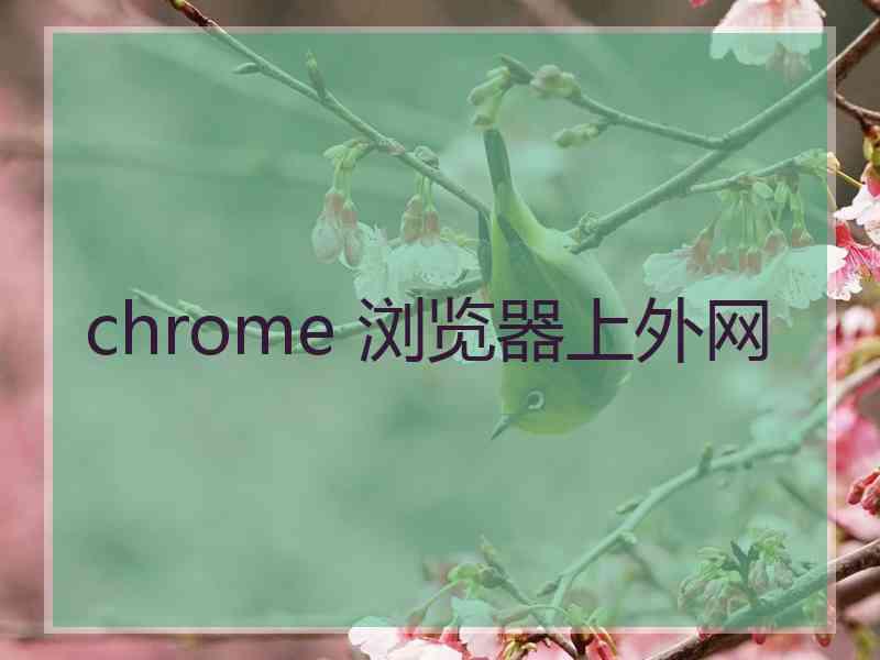 chrome 浏览器上外网