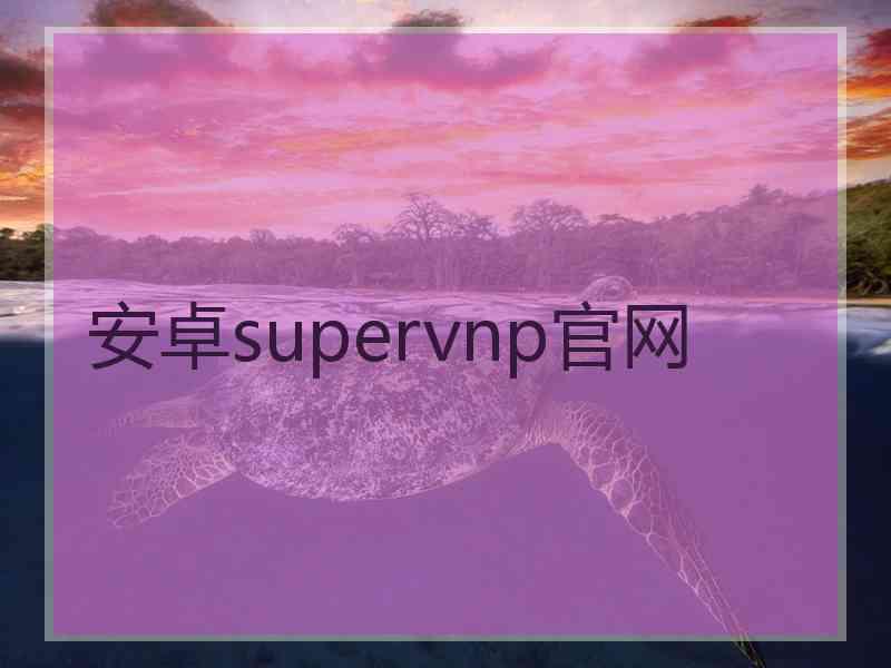 安卓supervnp官网