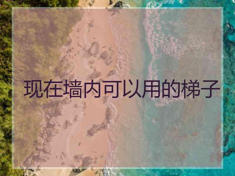 现在墙内可以用的梯子