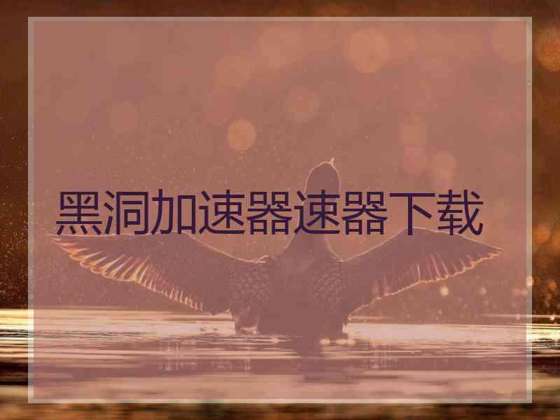 黑洞加速器速器下载